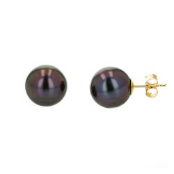 Tahitian Pearl gold Jewelry Earrings Boucle d’oreille de perle de tahiti bijoux or