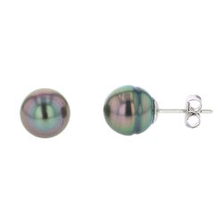 Classic Pearl Stud Silver Earrings, Tahitian Pearl Jewelry, Tahitan Pearls, Tahiti, Luxury Pearl Jewelry, Pearl Ring, Pearl Bracelet, Pearl Earrings, Pearl Necklace